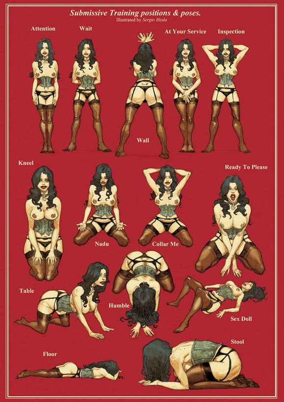 BUY PRINT: Submissive Training positions & poses