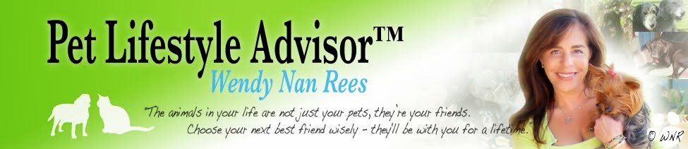 Pet Health Advice and Pet Tips by Pet Expert Wendy Nan Rees