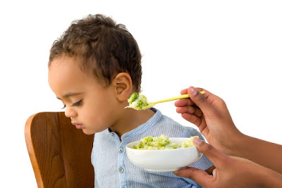 balita susah makan anak susah makan