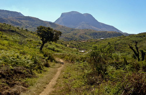 Caminho para o monte Binga