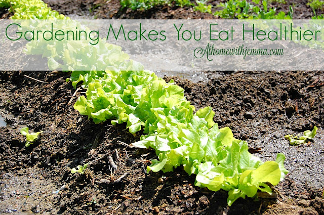grow-food-veggies-fresh-healthy-garden-to-table-Jemma