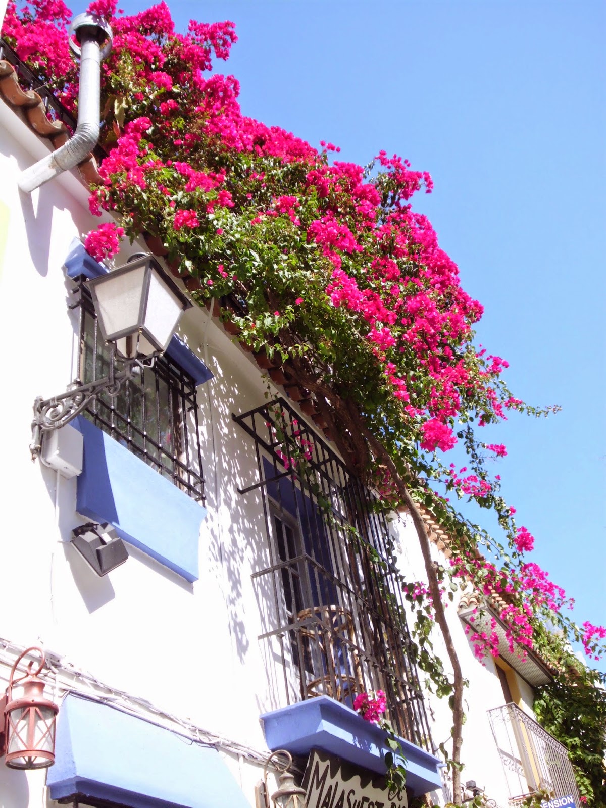 Gala Hoogstraten YO ESTOY EN TODO Y TODO ESTÁ EN MÍ