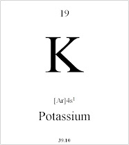 19 Potassium