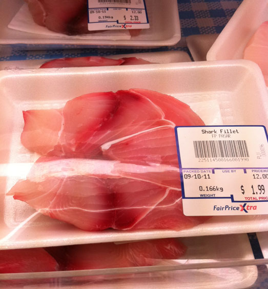 Mille Feuille Shark Meat