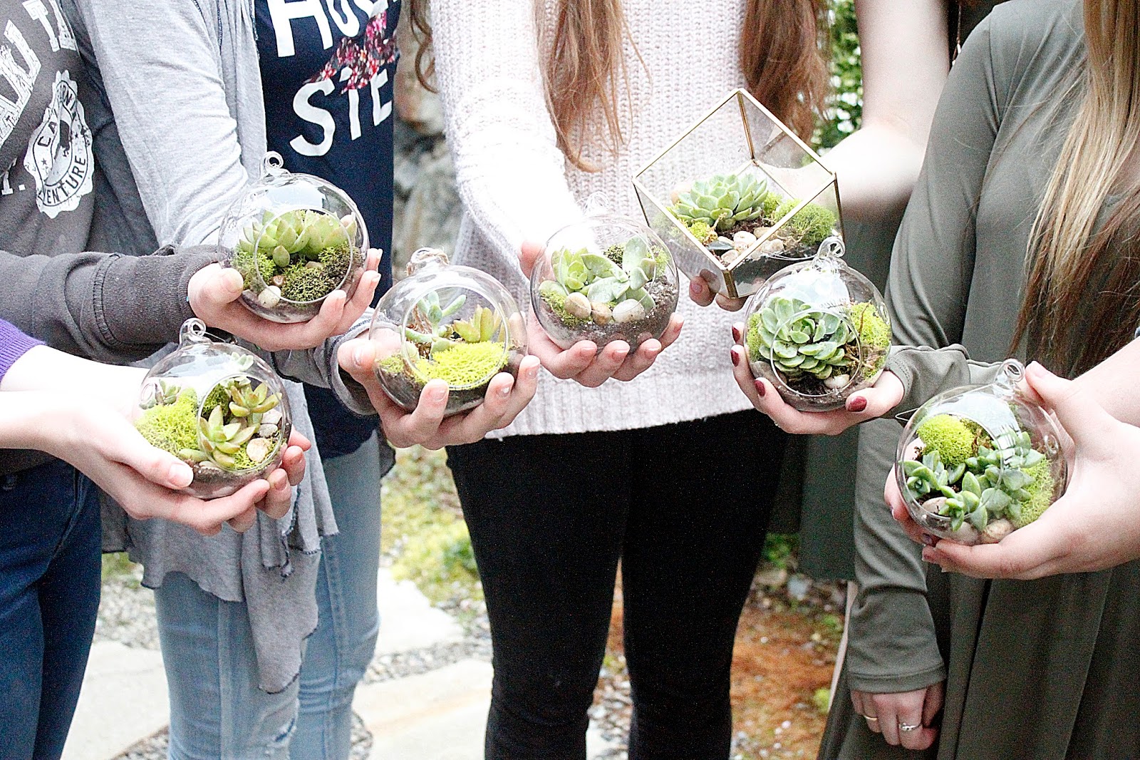 A Lovely Design Terrarium Making Party