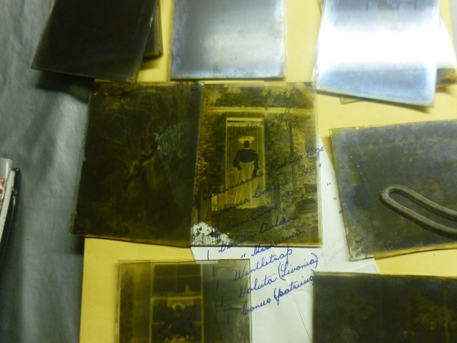 PHOTOGRAPHIC GLASS PLATE NEGATIVE AND POSITIVE SCANNING SERVICES FOR