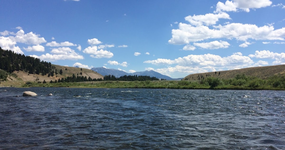 Caddis Chronicles Madison River The Rest of the Trip