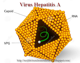 Obat Hepatitis A Paling Ampuh