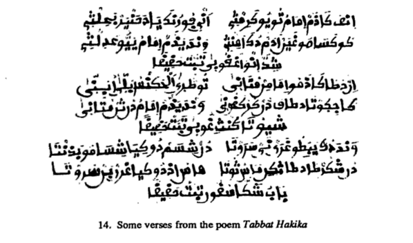 100AfricanWomenWriters 4. Nana Asma'u bookshy
