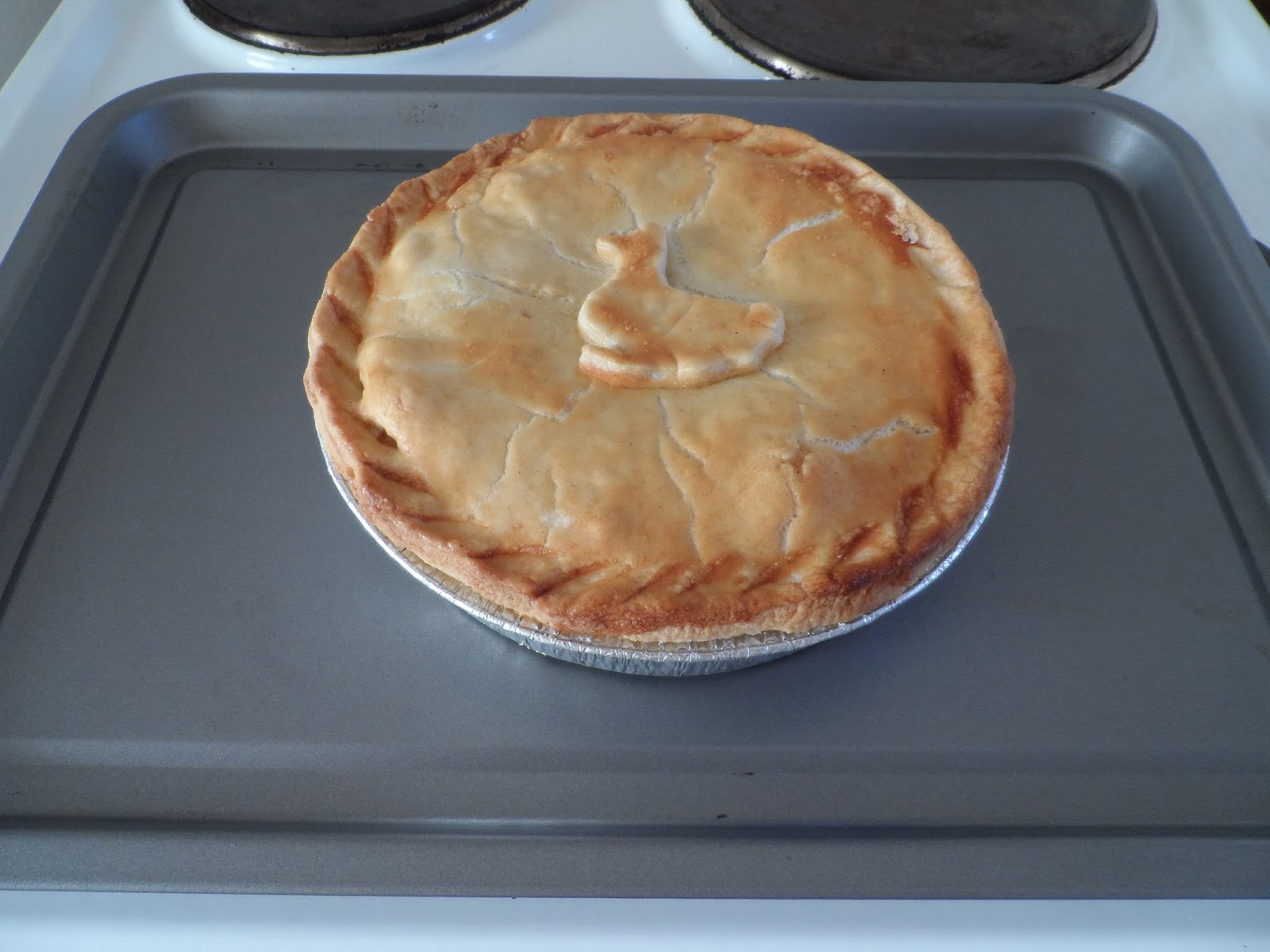 Pierate - Pie Reviews: Cooking Up a Storm in The Pie Kitchen