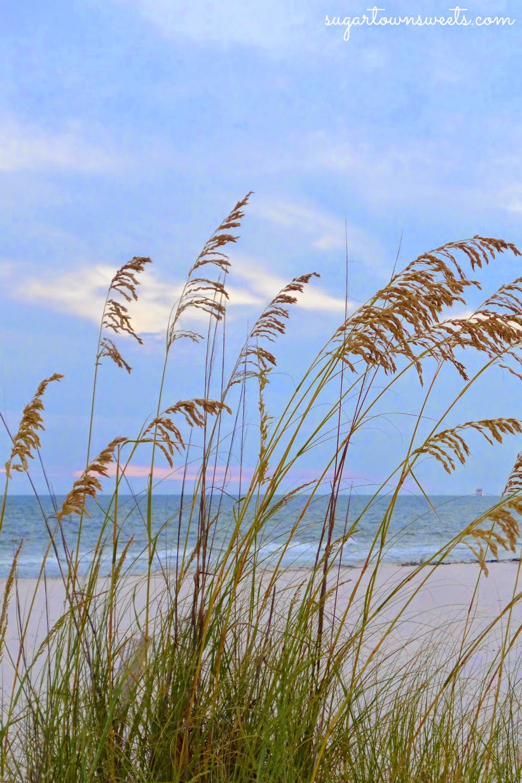 Sugartown Sweets Gulf Shores Family Beach Vacation