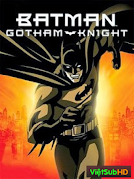 Hiệp Sỹ Gotham