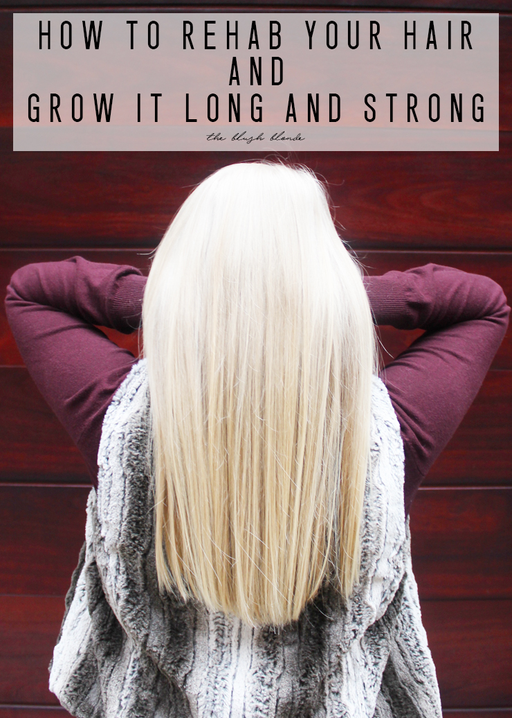 The Blush Blonde How I Took My Hair From Brittle & Breaking to Long