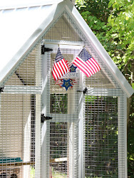 styled entertaining summer flags purchased smaller