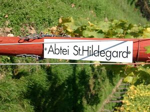 Vieregg Text Redaktion Lektorat Sv Verlag Nationaltheater