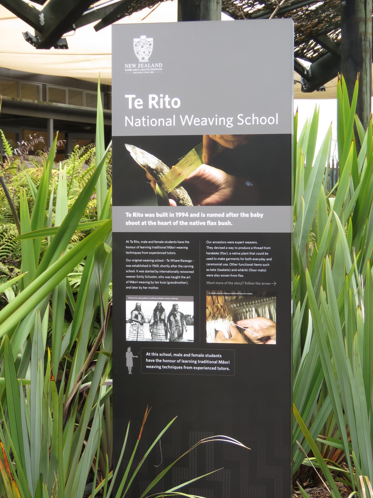 Bird & Travel Photos, Birding Sites, Bird Information TE RITO NATIONAL WEAVING SCHOOL, TE PUIA