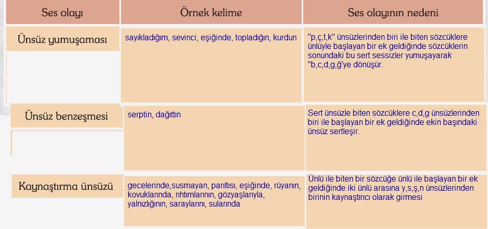 Raheyin Mutfağı Raheyin Mutfağı
