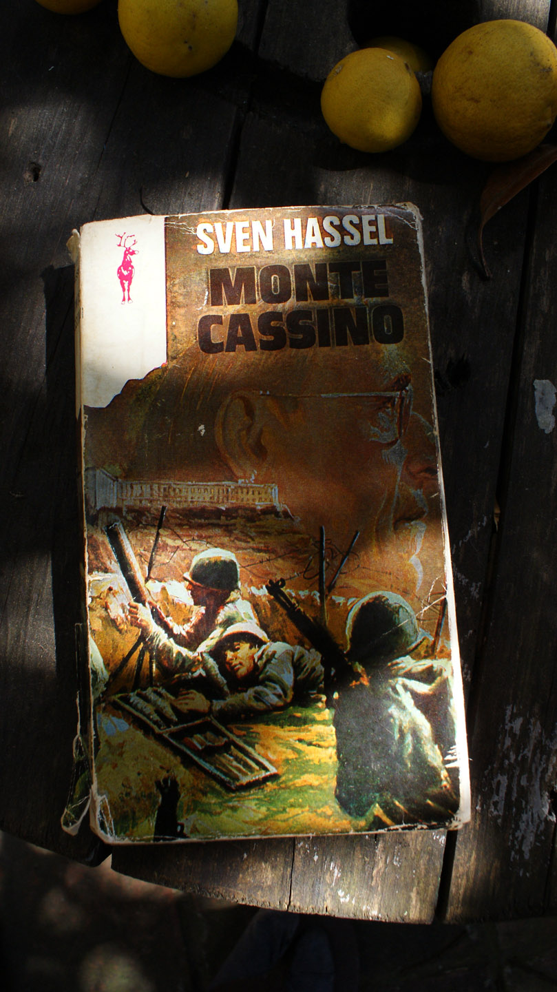 Bit\u00e1cora del P\u00e1rvulo: Monte Cassino en la memoria de Sven Hassel, David ...