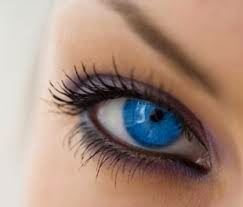 rizinusöl auf augenbrauen