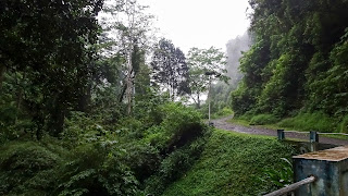 Cascata de São Nicolau is in the jungle