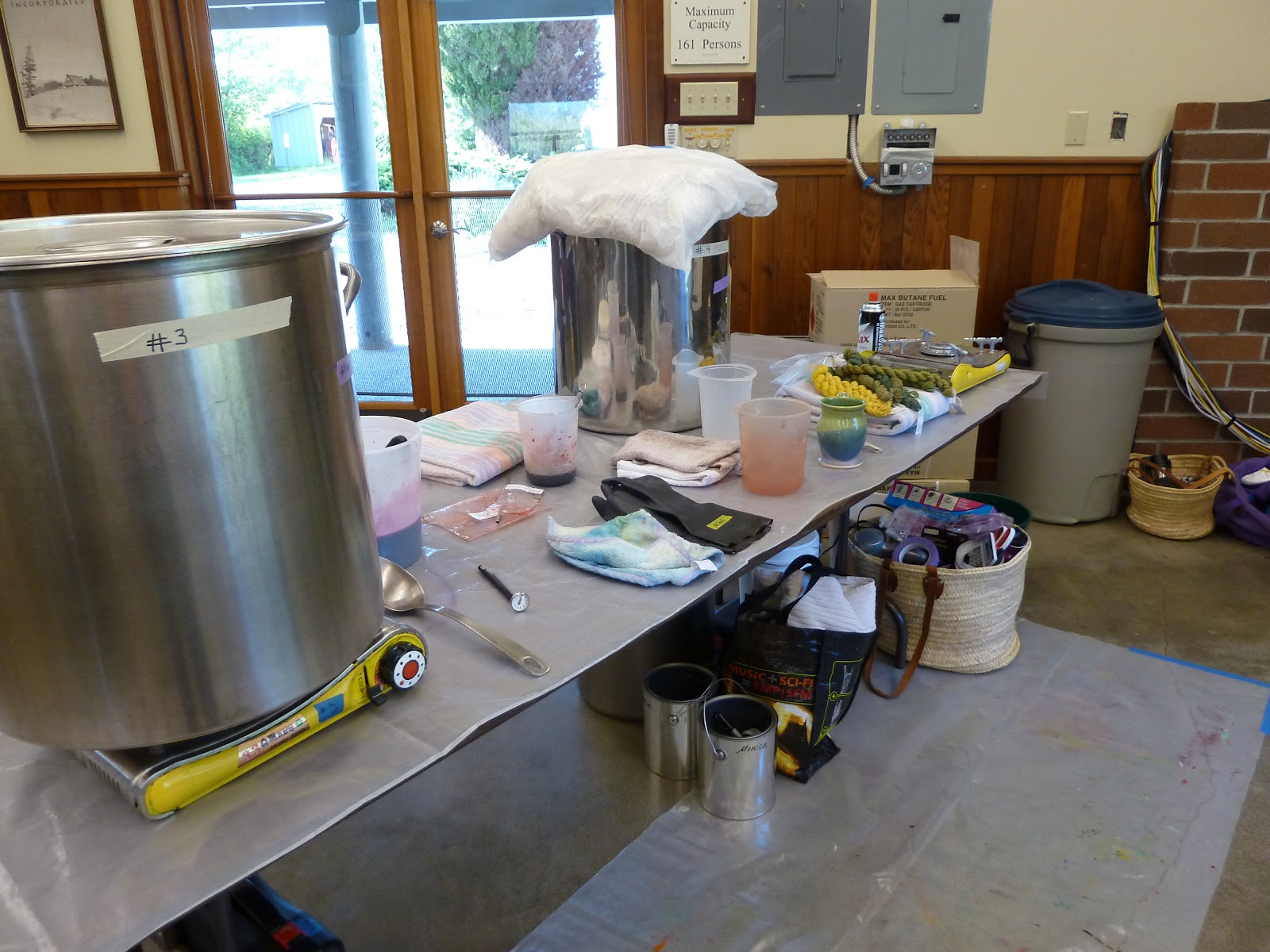 marie z johansen The Agony and The Ecstasy "Dyeing As If The Earth