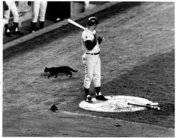 Baseball With Matt The Billy Goat Curse Is Just The Beginning 10