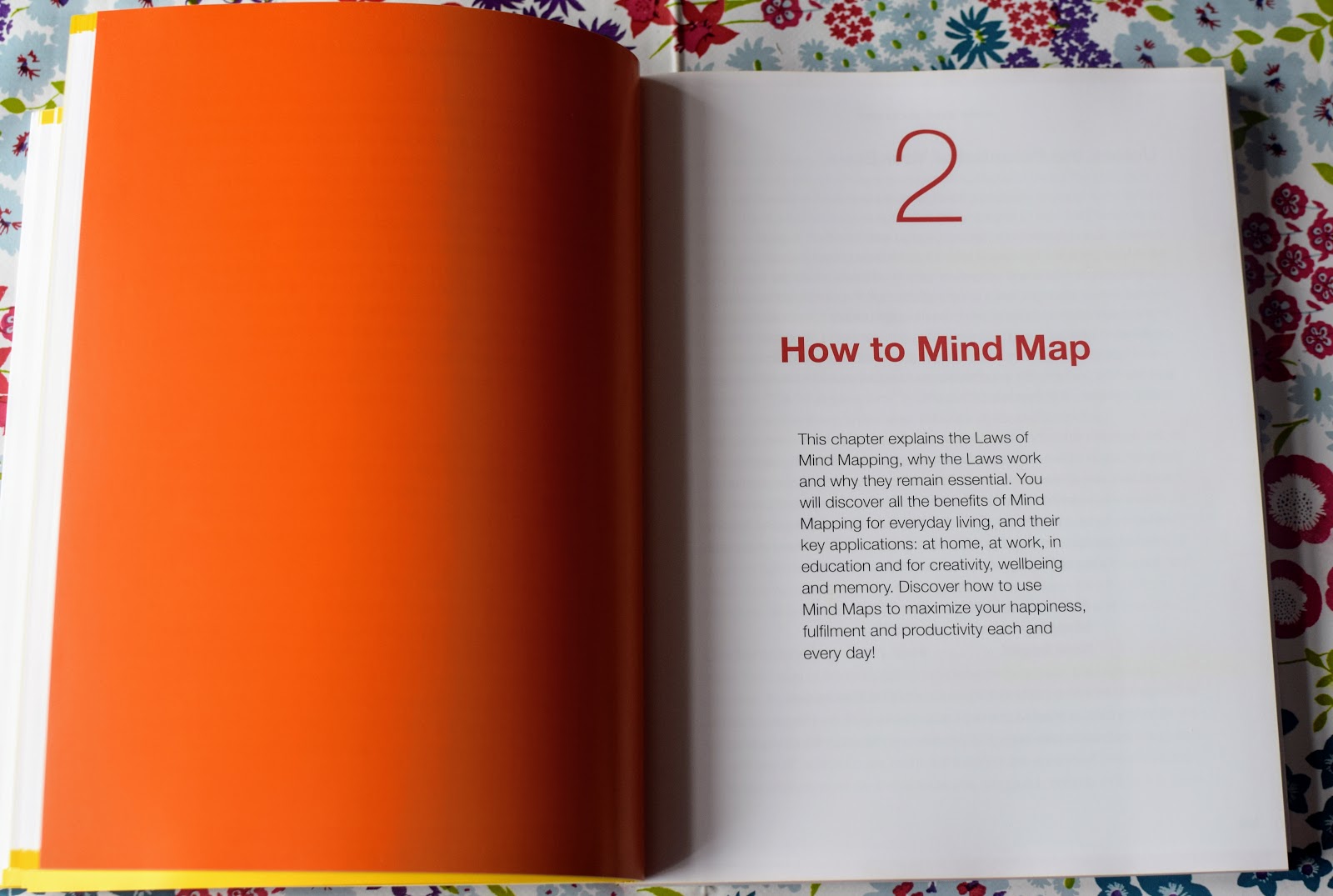 , Win a Copy of Mind Map Mastery by Tony Buzan