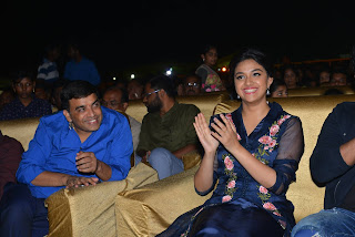 nenu local audio launch photos nenu local audio launch photos