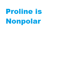 Proline is Nonpolar Proline is Nonpolar