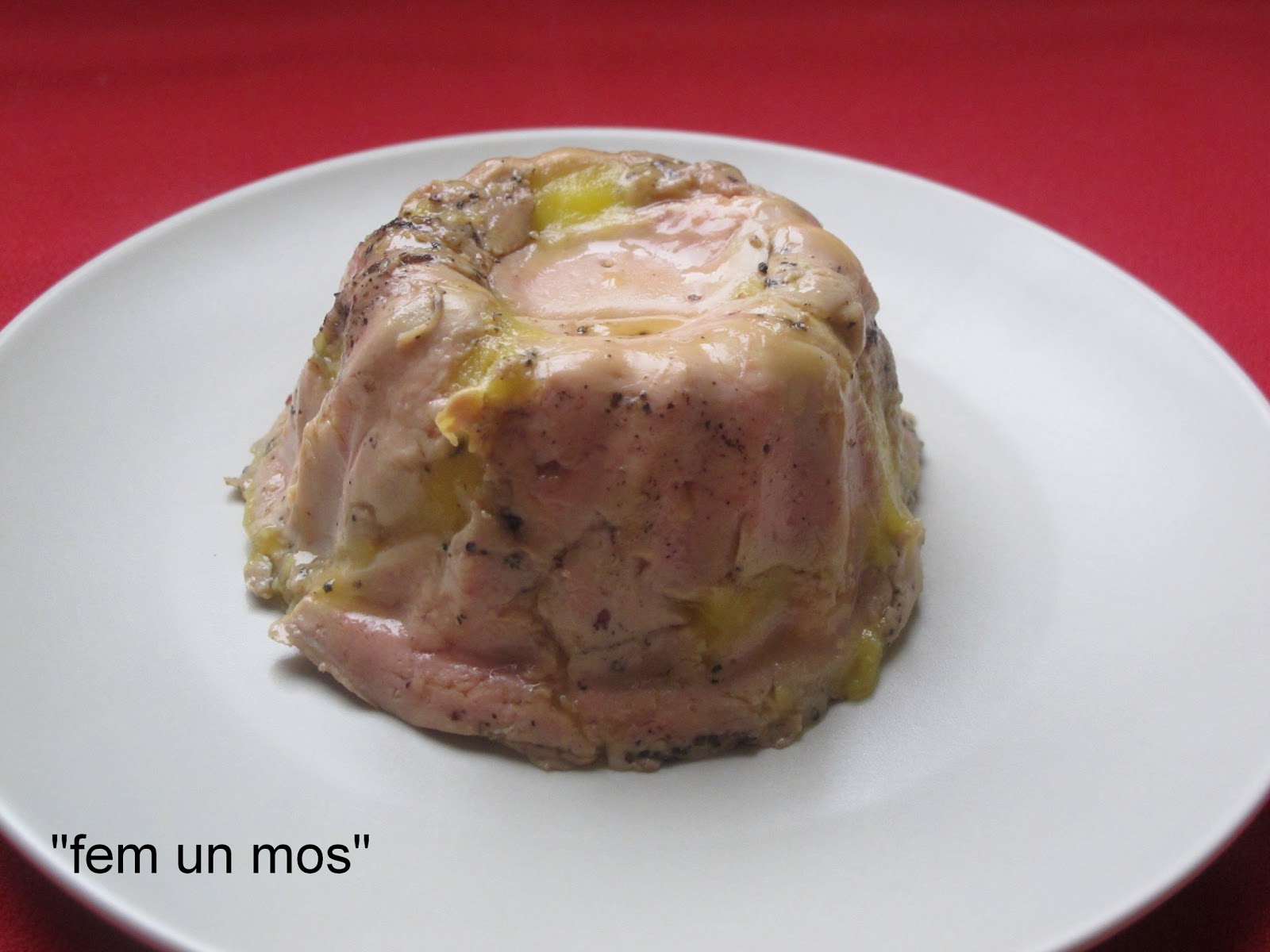 TERRINA DE FOIE GRAS MI CUIT