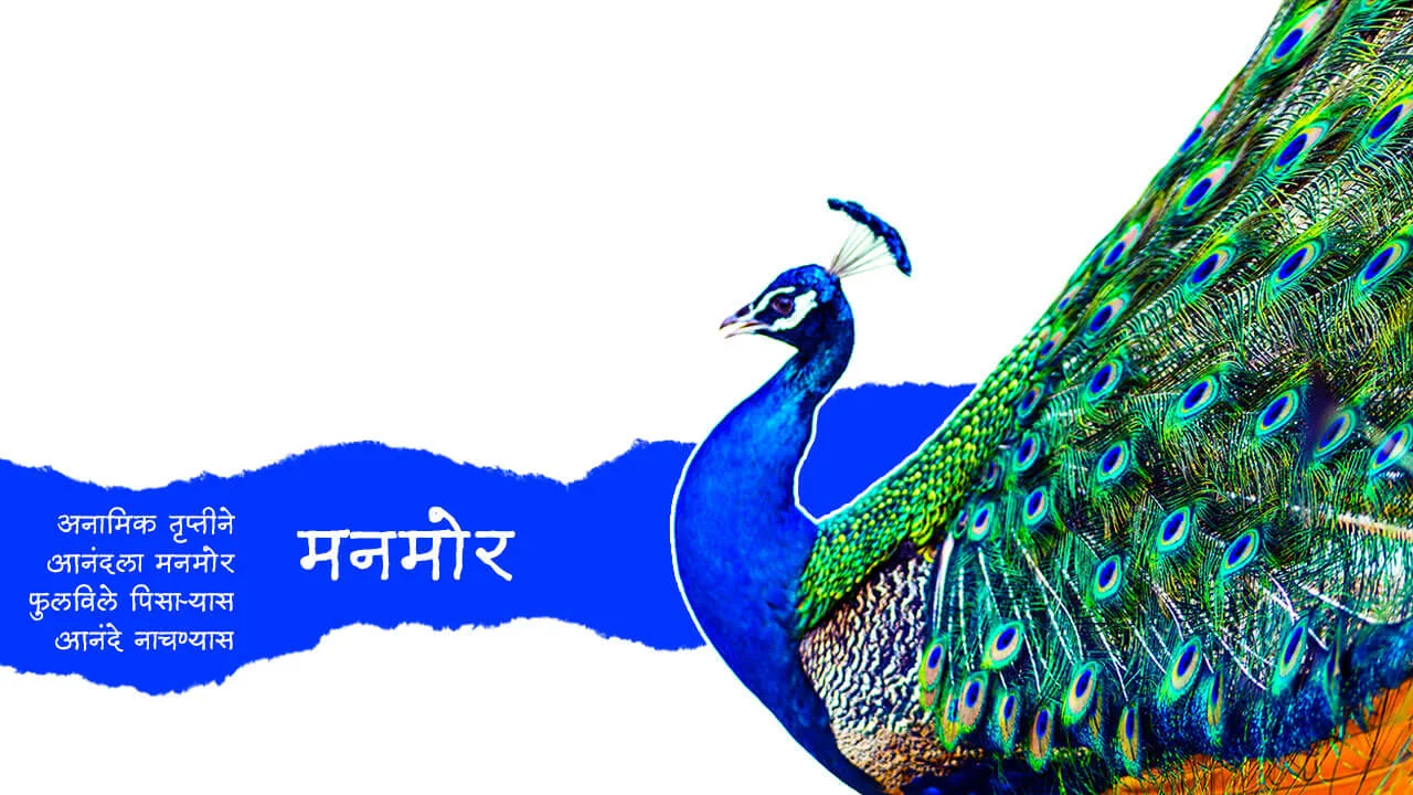 मनमोर - मराठी कविता | Manmor - Marathi Kavita