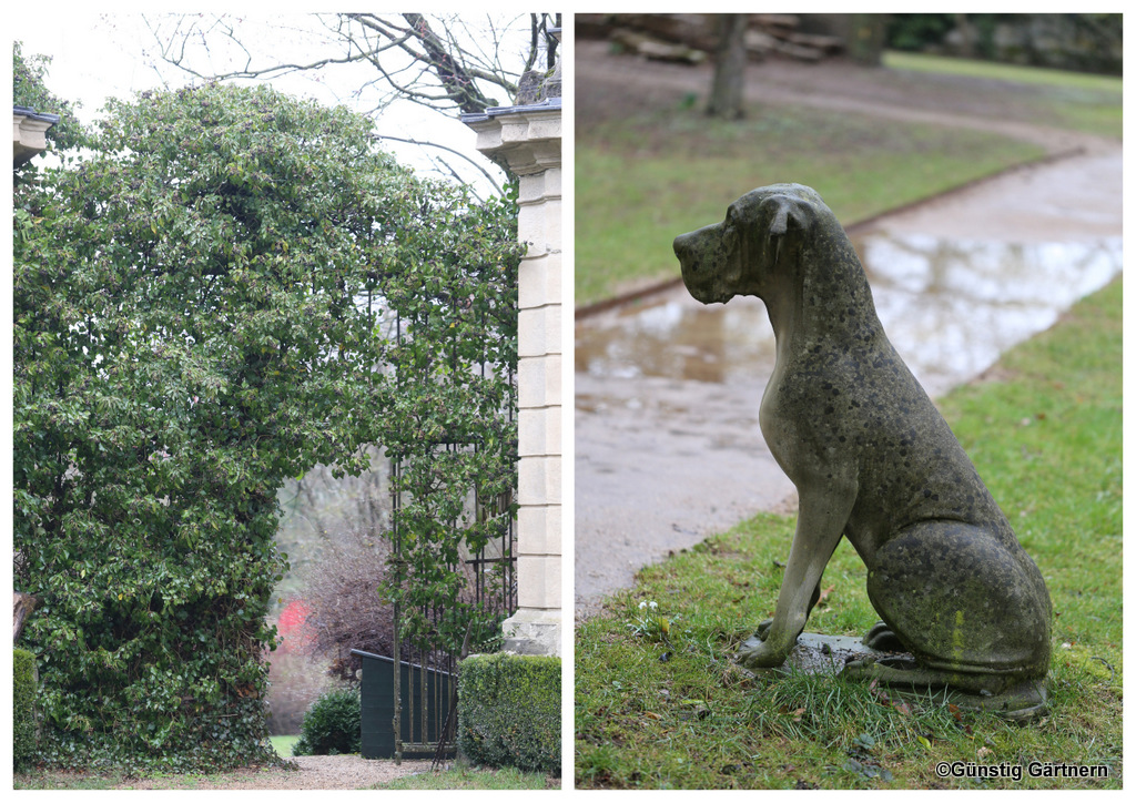 Landschaftspark Und Rhododendren Im Schlosspark Dennenlohe Achims Garten