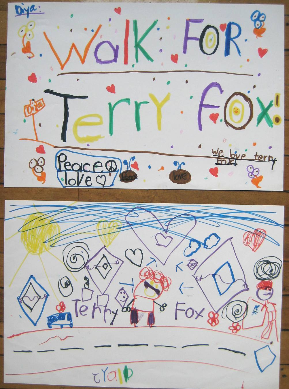 ms. brown's classroom Terry Fox, Our Hero