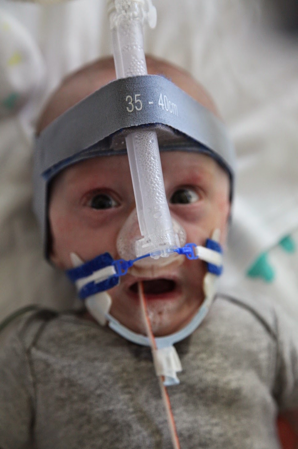 Roscoe's Story Bubble Mouth