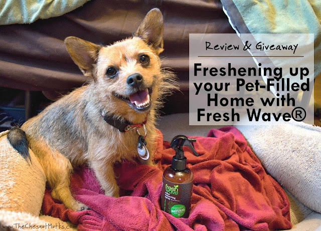 Review & Giveaway: Freshening up your Pet-Filled Home with Fresh Wave®