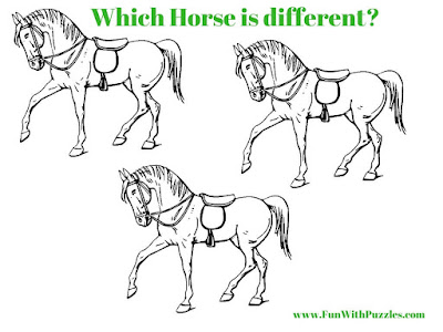 Spot The Difference Picture Brain Teaser of Horse