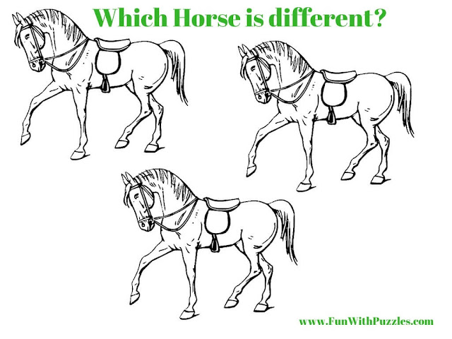 Spot The Difference Picture Brain Teaser of Horse