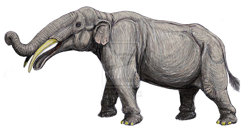 elefantes prehistoricos Gnathabelodon