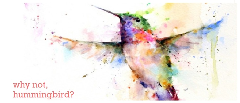 why not, hummingbird?