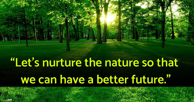 Theme*  World Forest Day 2020 : Logo, Slogan, Theme (Present Year