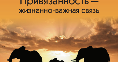 ПРИВЯЗАННОСТЬ ЖИЗНЕННО-ВАЖНАЯ СВЯЗЬ ОЛЬГА ПИСАРИК СКАЧАТЬ БЕСПЛАТНО ПРИВЯЗАННОСТЬ ЖИЗНЕННО-ВАЖНАЯ СВЯЗЬ ОЛЬГА ПИСАРИК СКАЧАТЬ БЕСПЛАТНО