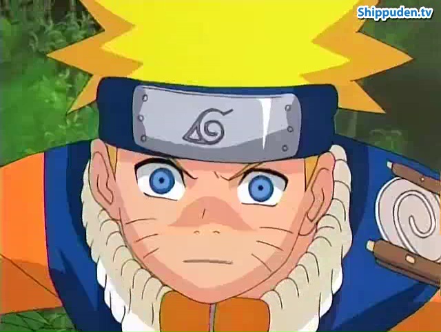 Ver Naruto Introduccion - Capítulo 164