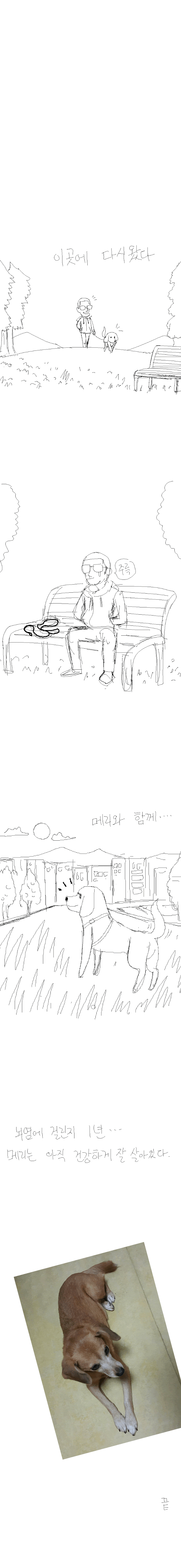 xaK8rBK.gif