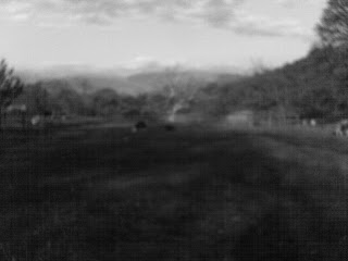 IMAG0042.JPG