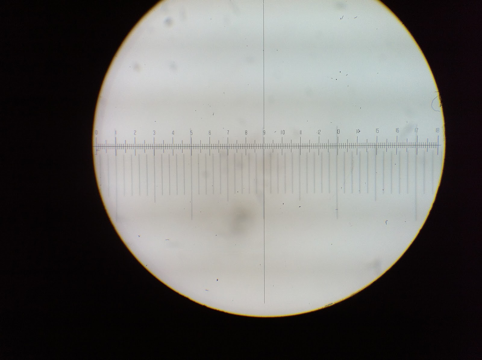 IBG Lab Report LAB 2 MEASUREMENT AND COUNTING OF CELLS USING MICROSCOPE
