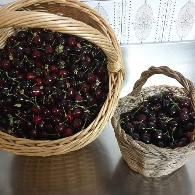 Cerezas del Toscá y huerto propio del hostal para lo coc de sireres. Cerezas del Toscá y huerto propio del hostal para lo coc de sireres.