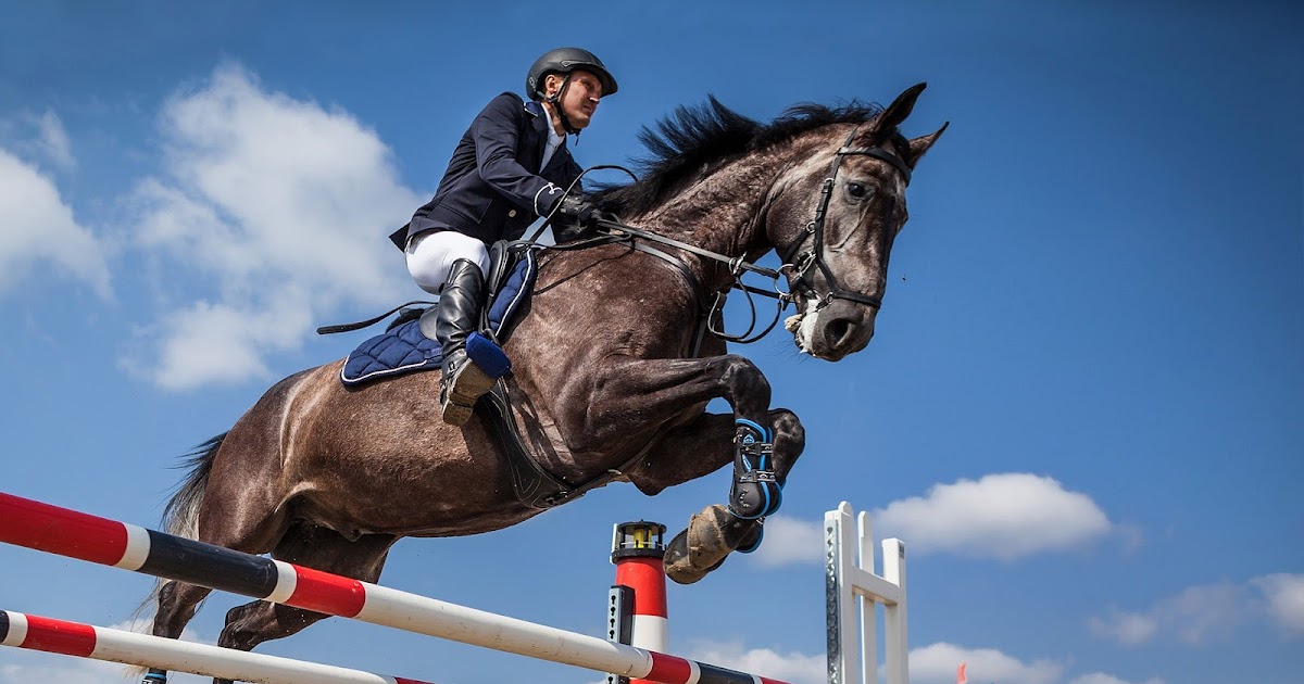 Jak zacząć startować na zawodach jeździeckich? JAK LEPIEJ JEŹDZIĆ KONNO?