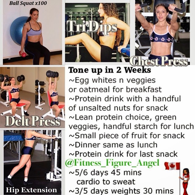Sample Meal and Exercises