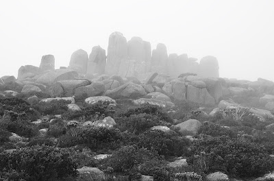 Dolerite boulders on the southern end of the summit plateau, Mount Wellington - 2nd May 2011