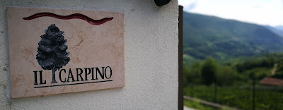 il carpino